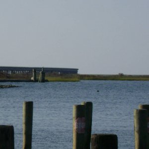 DSC05101