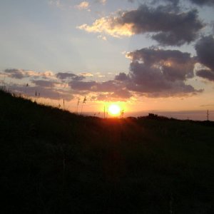 DSC05201