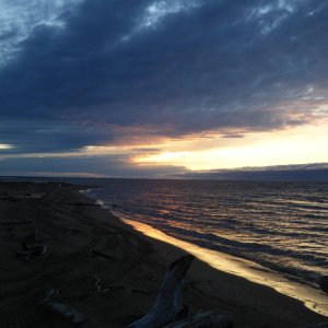 DSCF3340