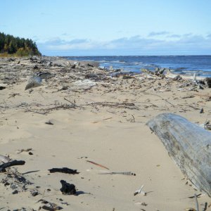 DSCF3475