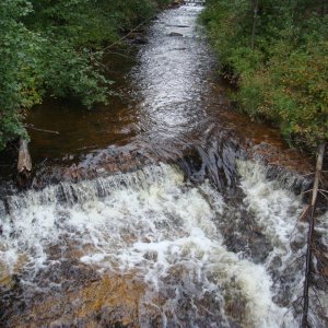 DSC03047