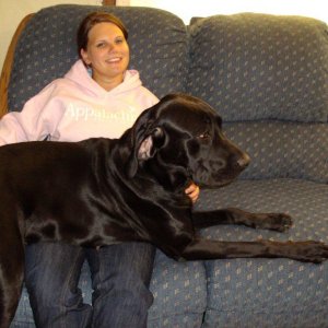 Bailee_and_Josie