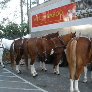 Holiday Parade Jacksonville NC