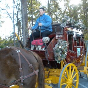 Holiday Parade Jacksonville NC