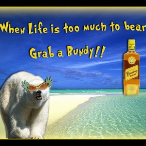 beach_bear