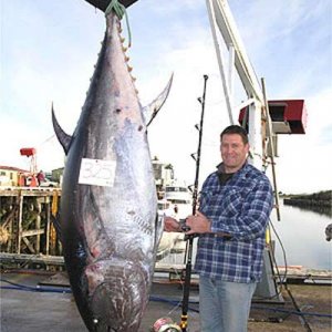 bluefin-steve-mccowan