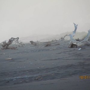 IMG_00461