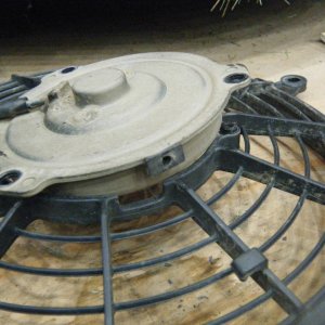 Quad_Jan_29_2012_005