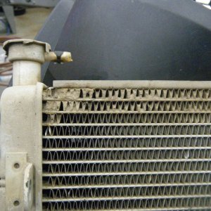 Quad_Jan_29_2012_008