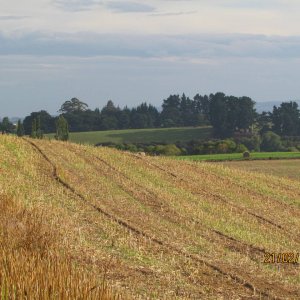 IMG_0122