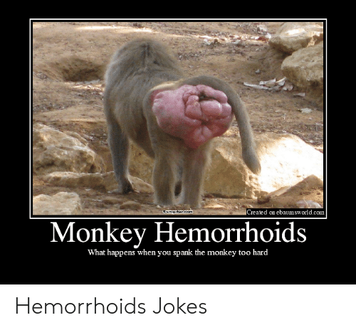 created-on-ebaumsworld-com-ewagntt-eom-monkey-hemorrhoids-what-happens-when-you-49926736.png