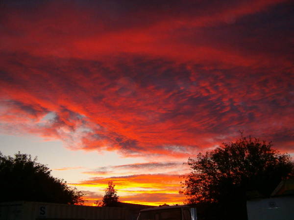 Picture_225.jpg