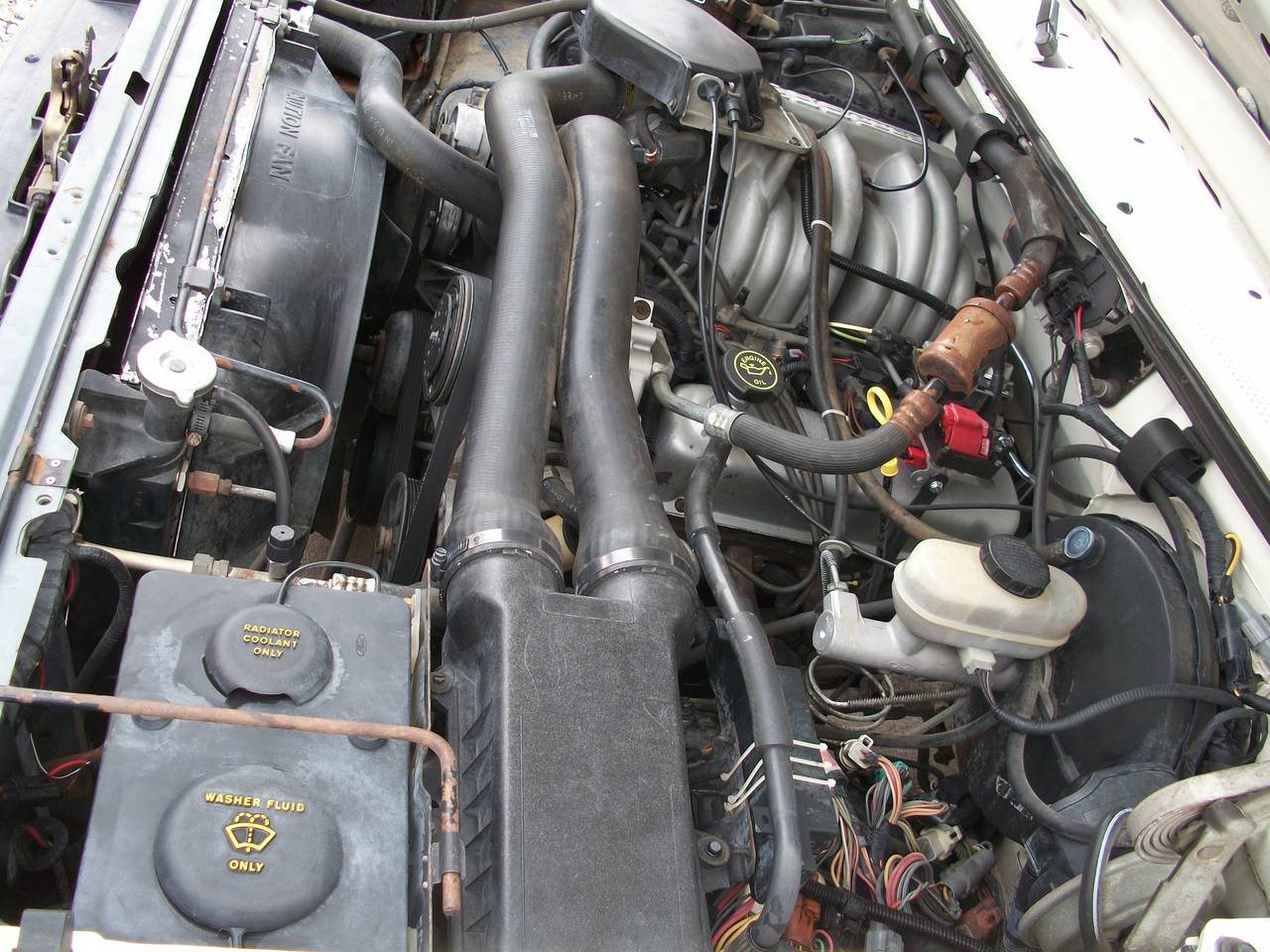 1991 F-150 Engine Left