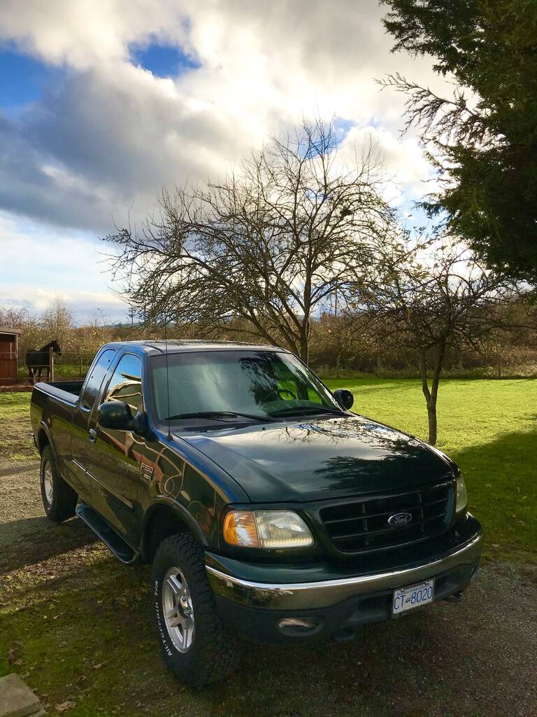 2001 F150