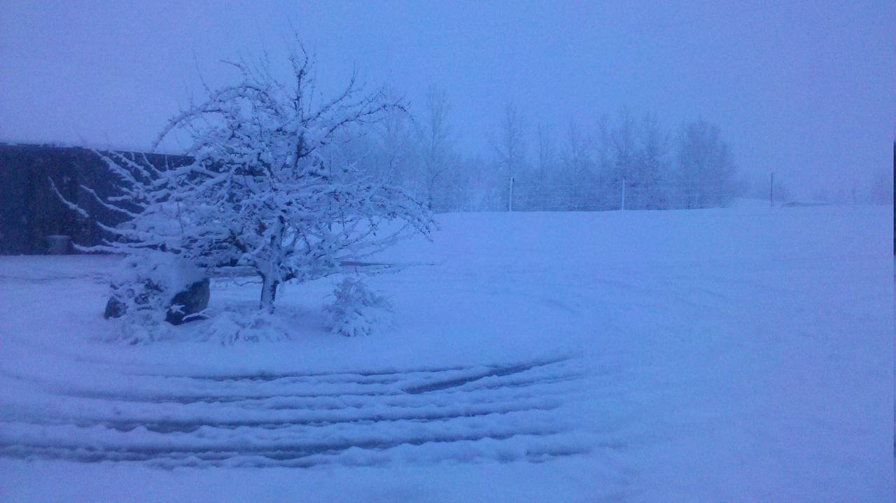 2012-04-12_20-03-26_40