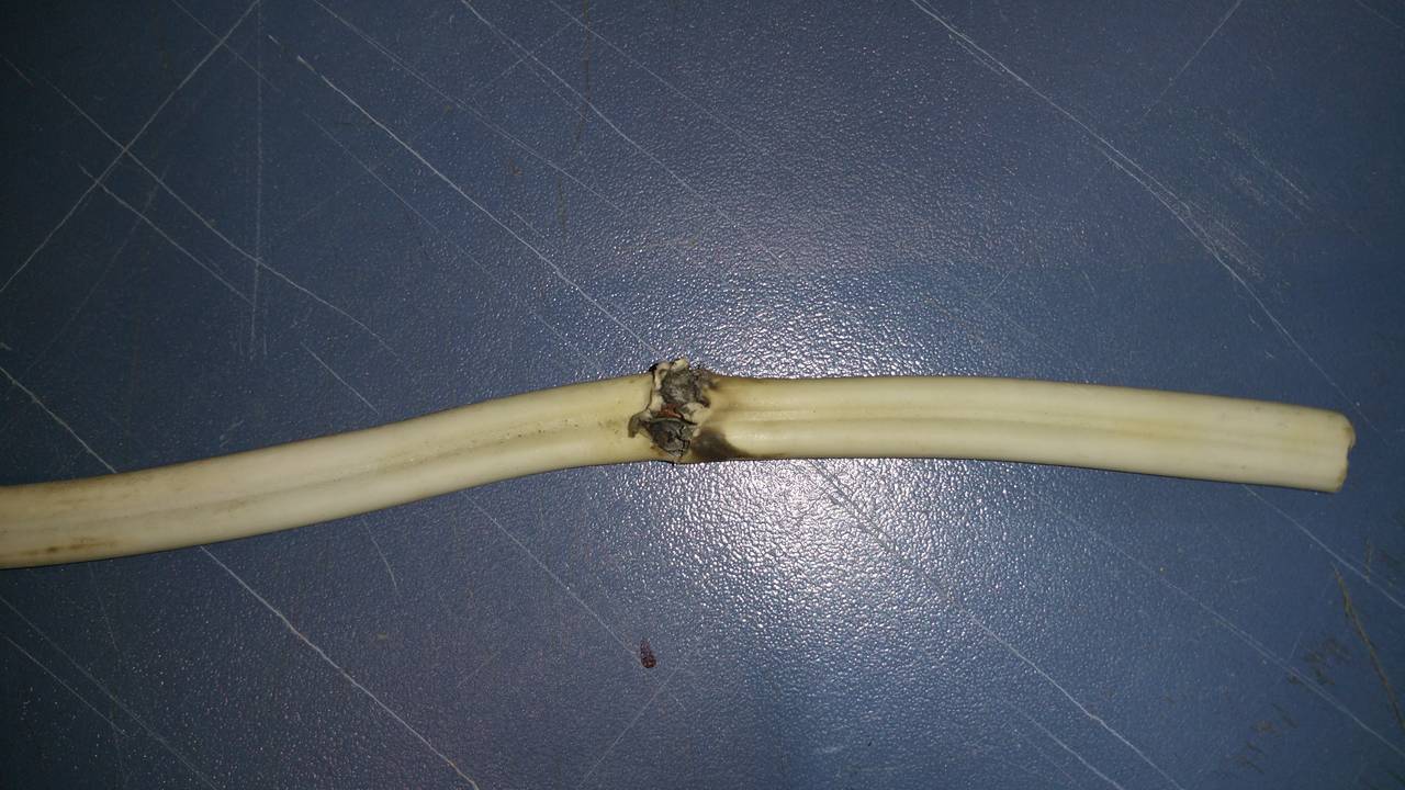 20150221_134230