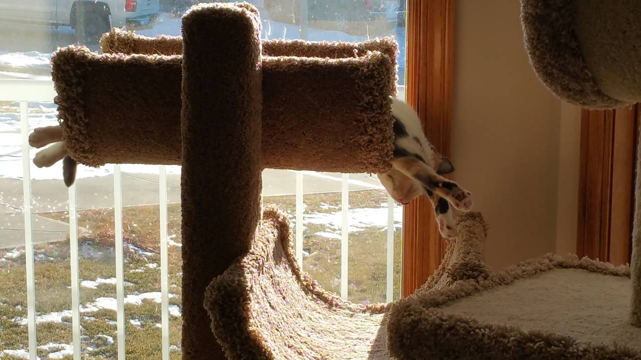 20150222_162635
