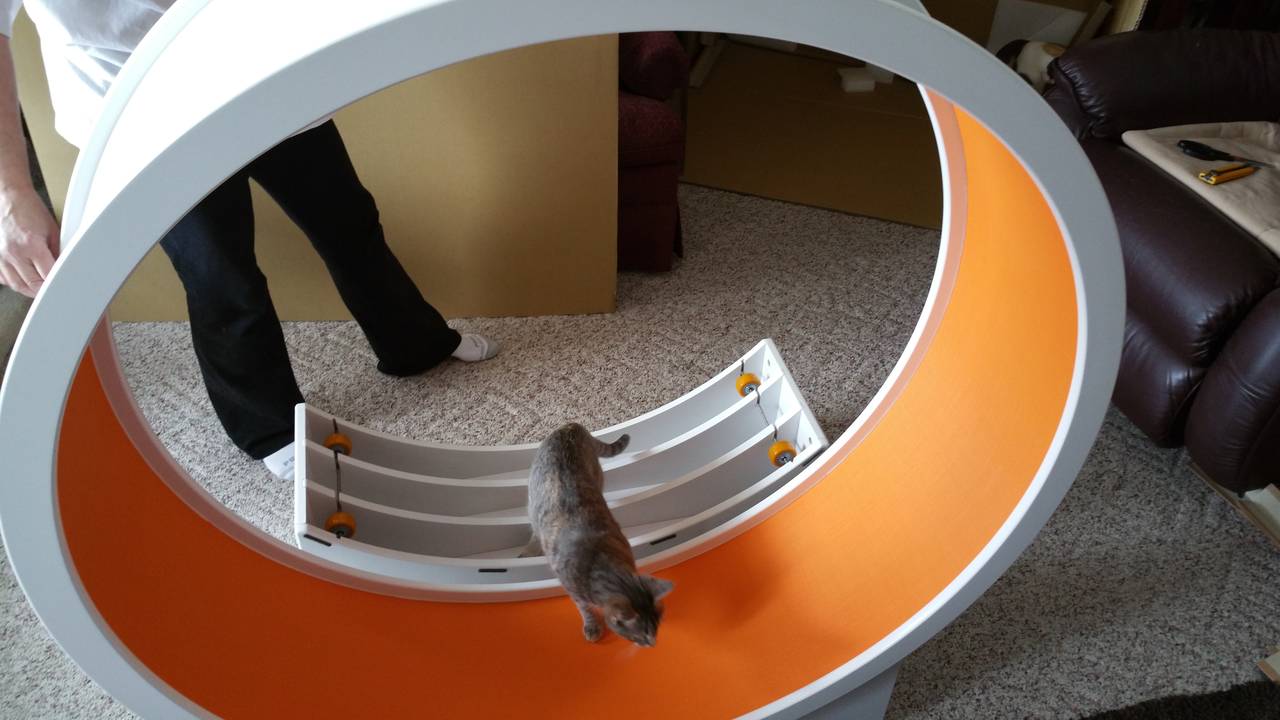 20150317_122420