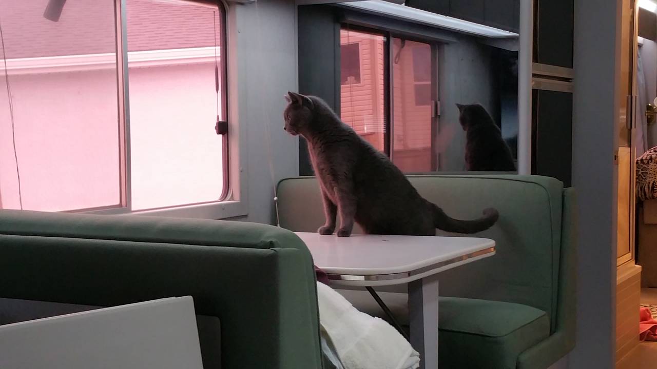 20150913_122952