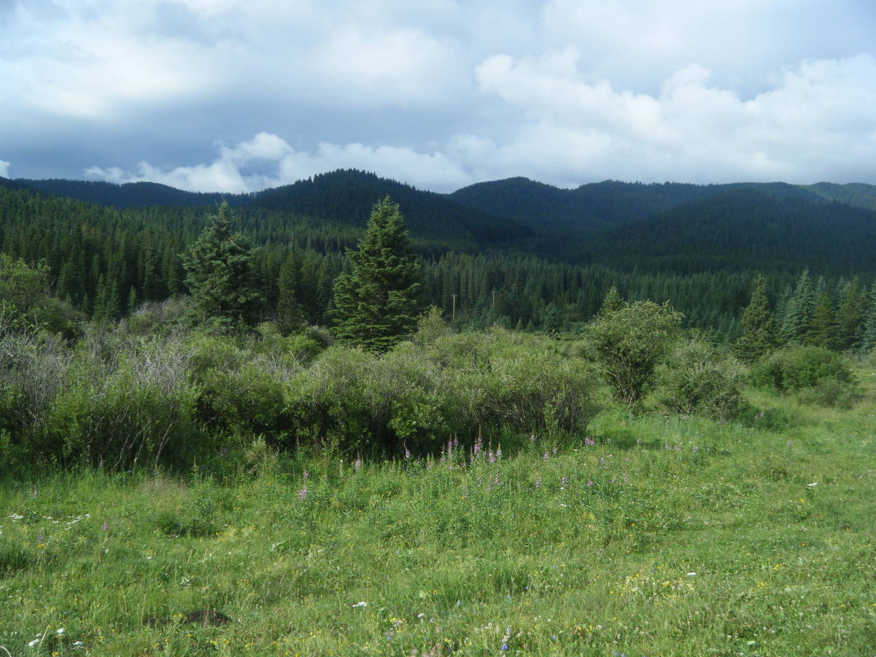Aug_3_2010_Quad_004