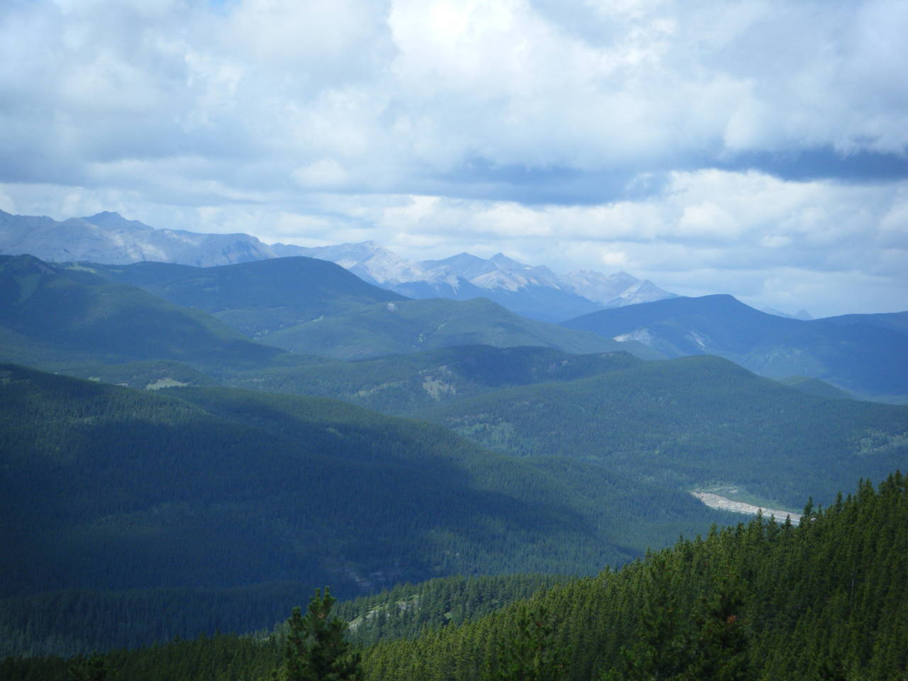Aug_3_2010_Quad_016