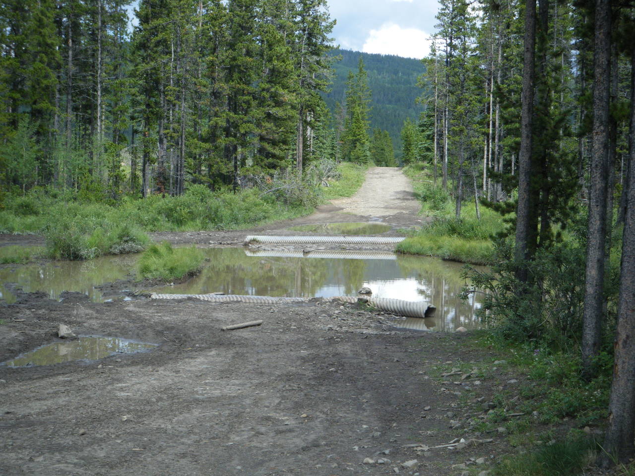 Aug_3_2010_Quad_022