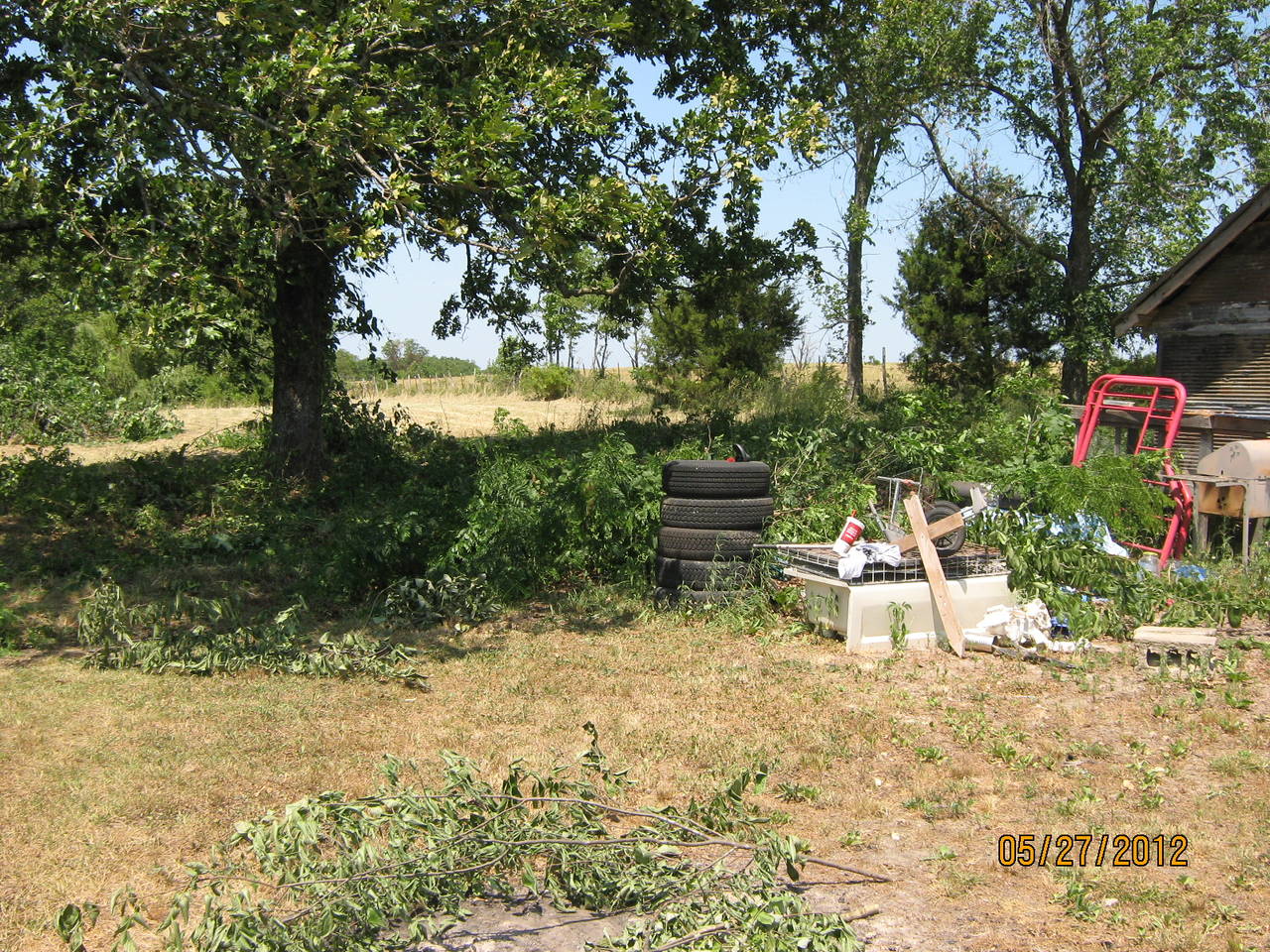 back_yard_001