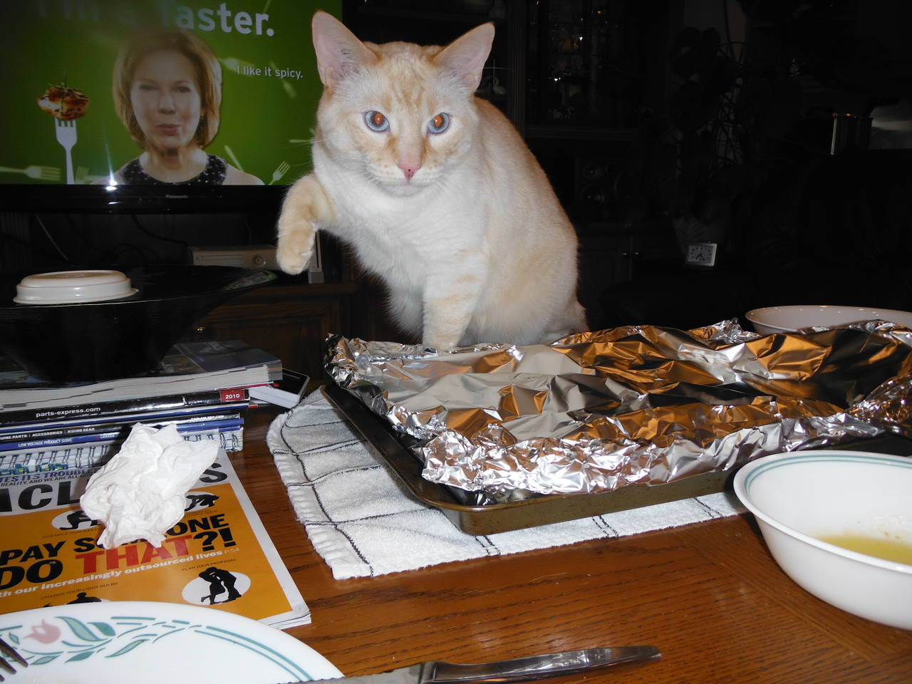 Bad_kitties_007
