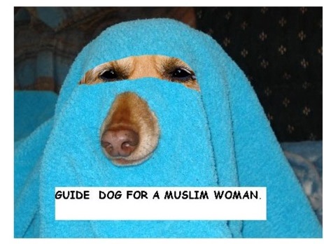 barka