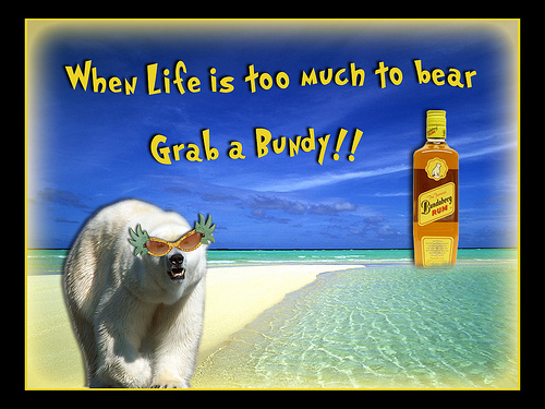 beach_bear