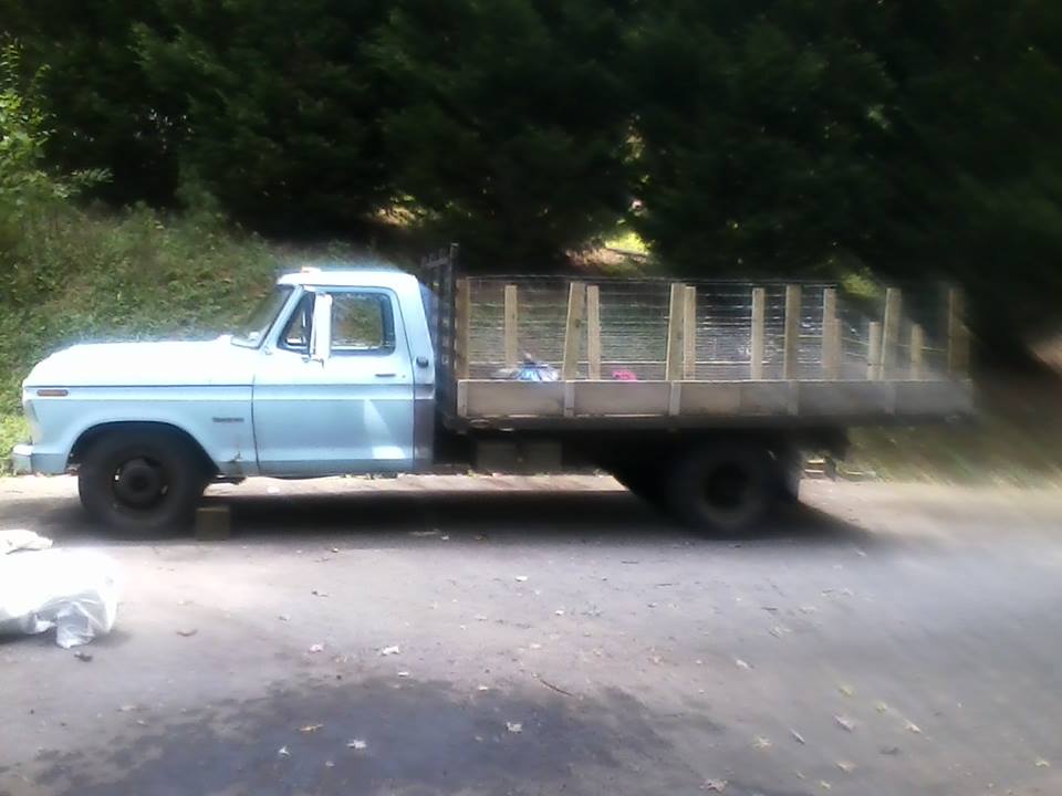 Big Blue Darling