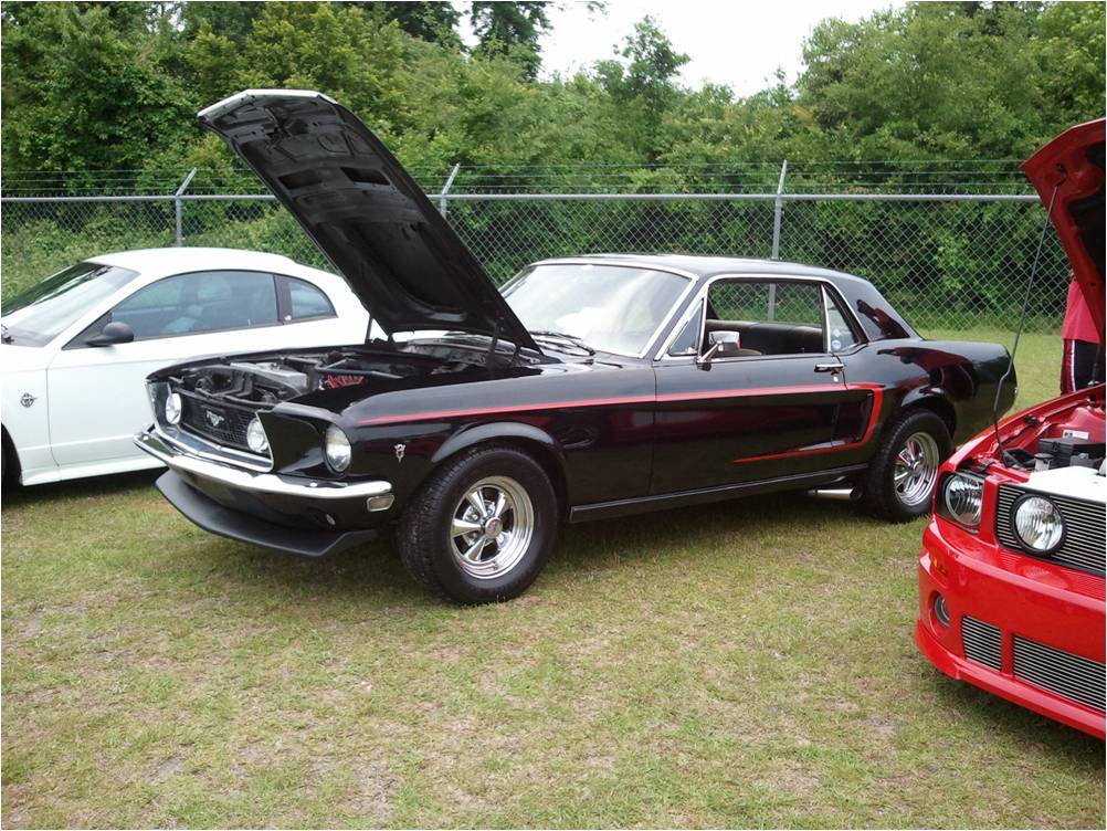 Black 289