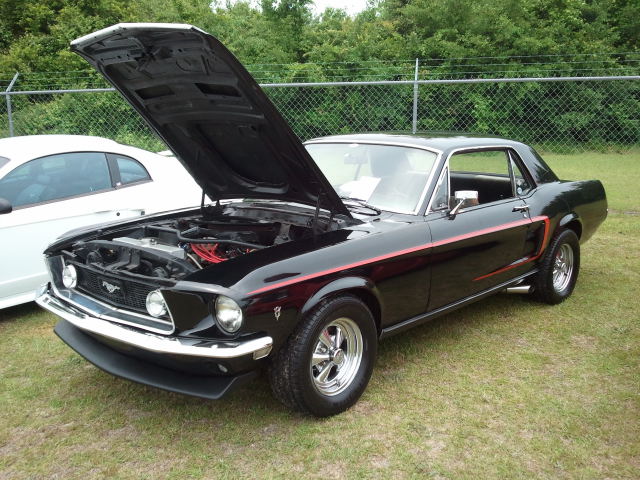 Black 289