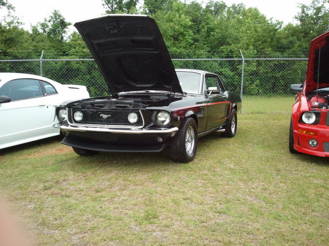 Black 289