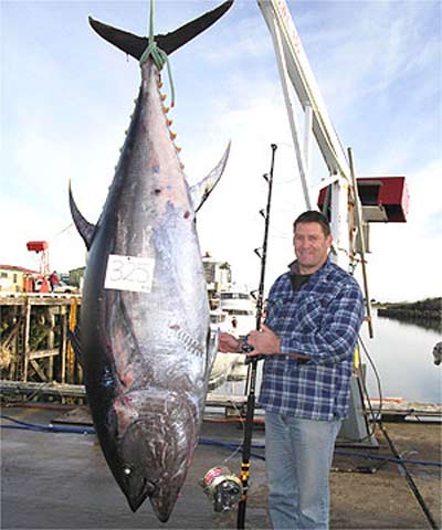 bluefin-steve-mccowan