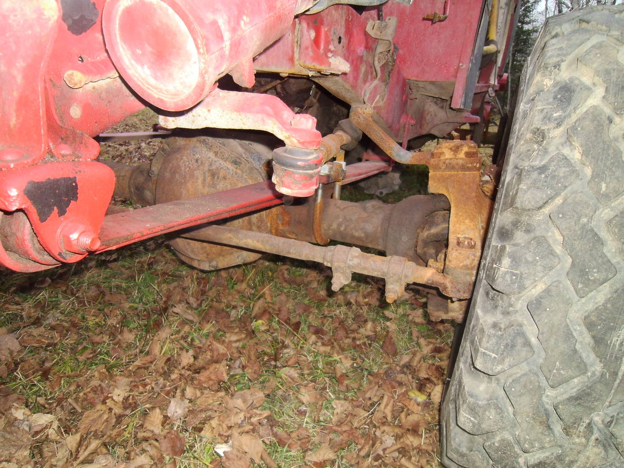 buggy pictures