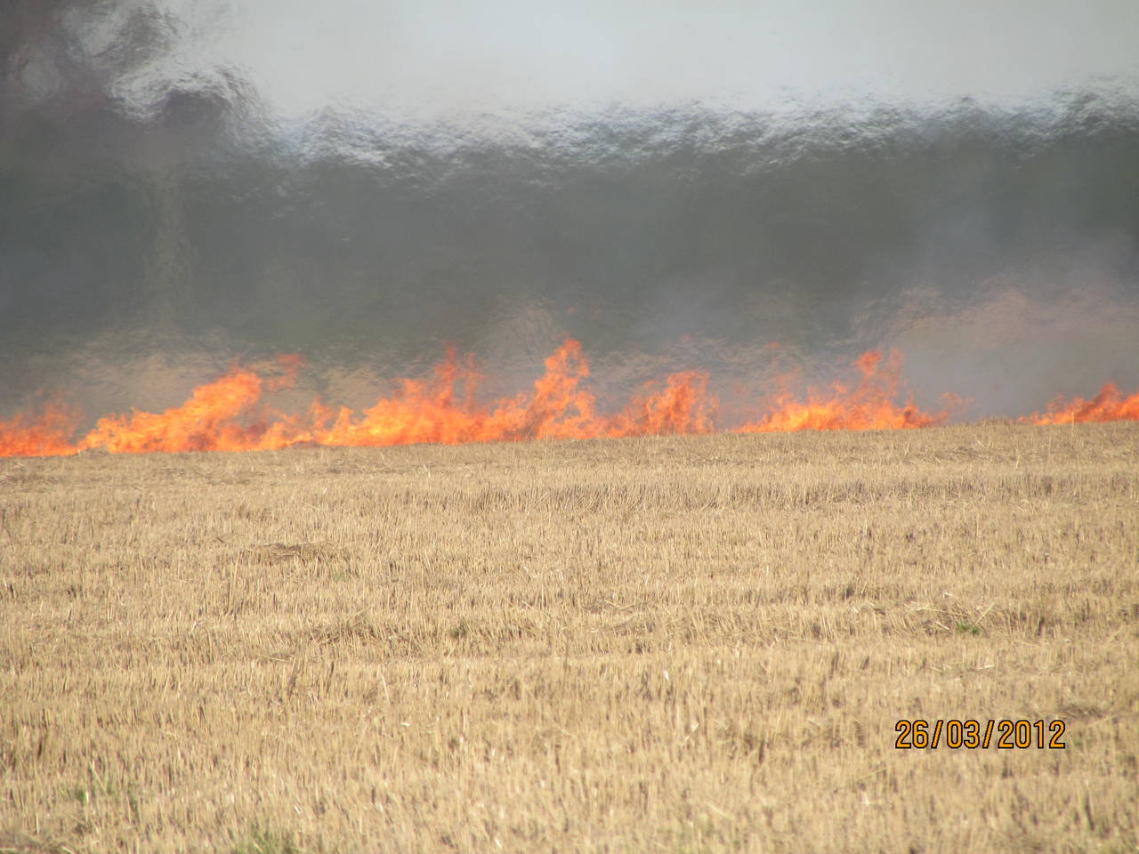 Burnoff