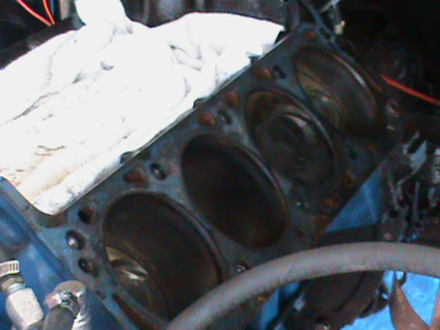 Buzz_s_460_upgrade_019