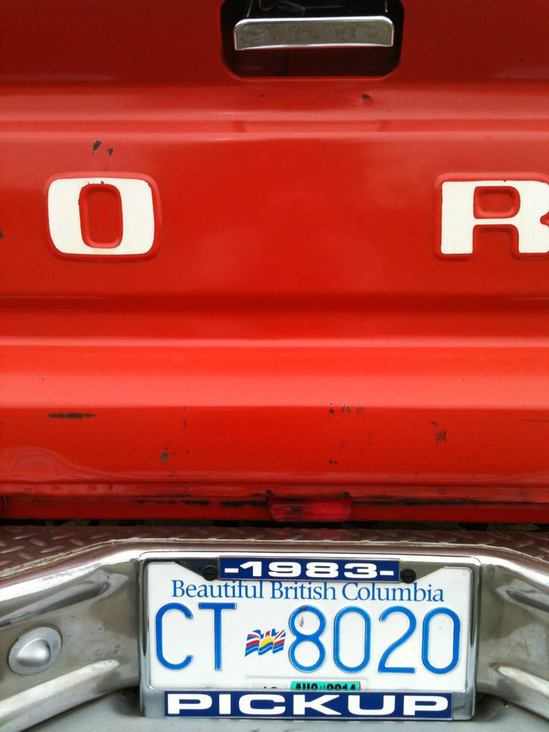 Chrome tailgate handle