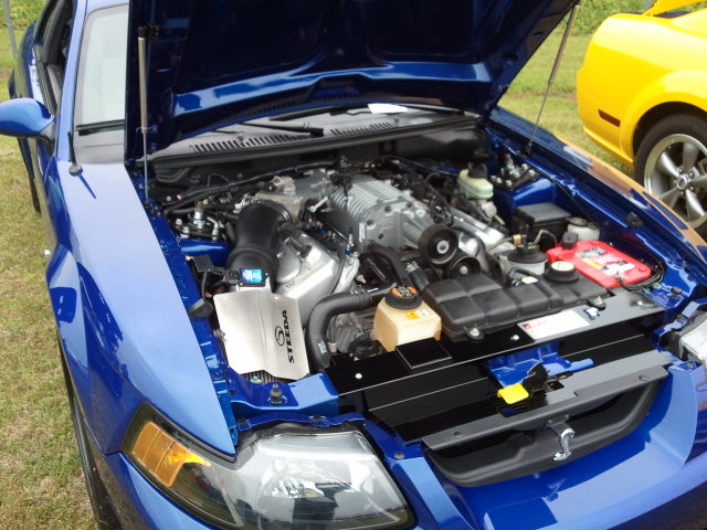 Cobra