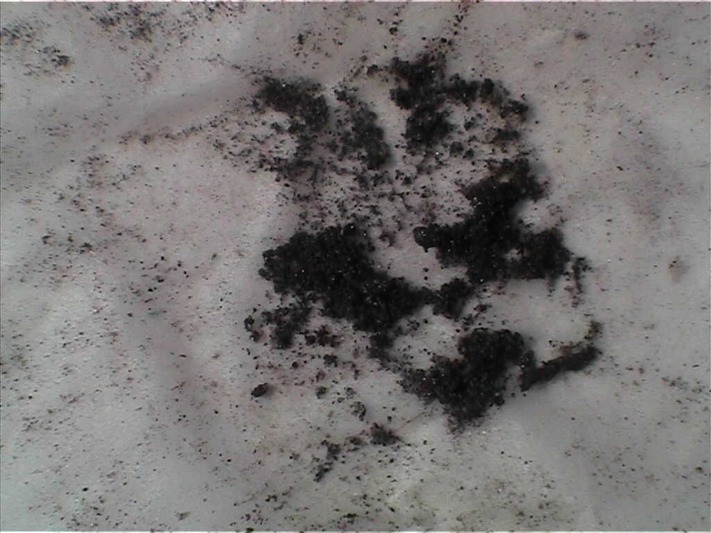 Coolant Filter - Photos of sand removed after 6,000 miles