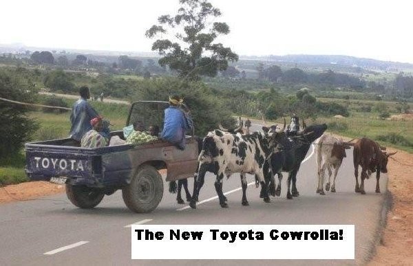 cowrolla