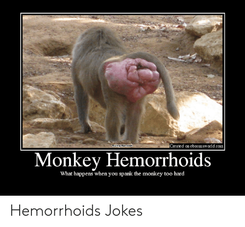 created-on-ebaumsworld-com-ewagntt-eom-monkey-hemorrhoids-what-happens-when