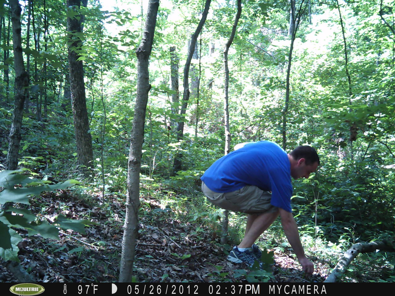 creek_2_001