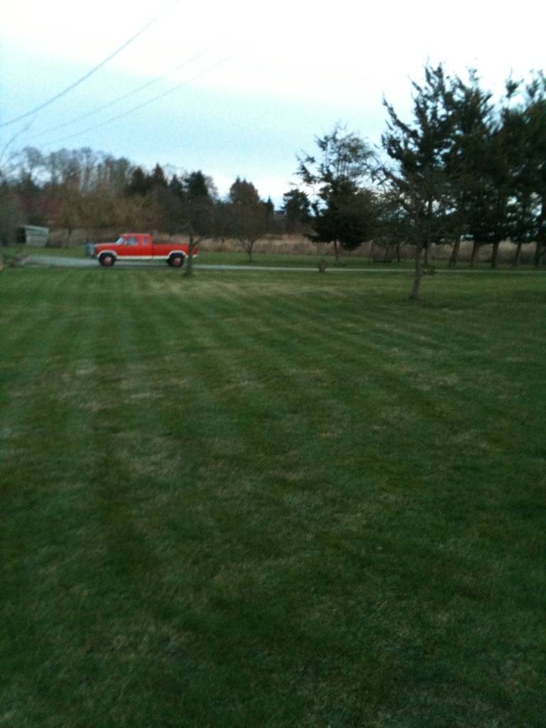 cutting_grass