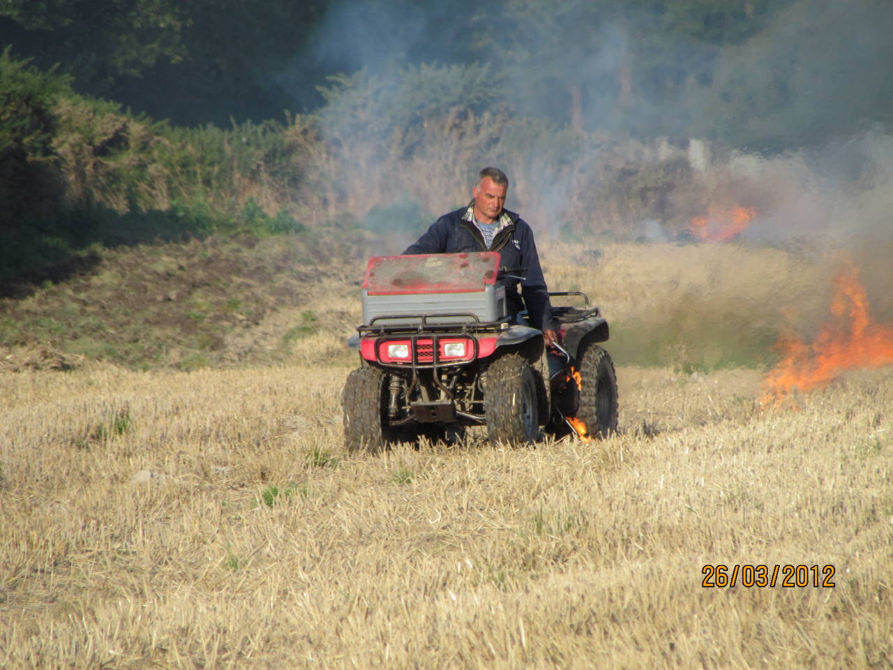 Dale - the firebug