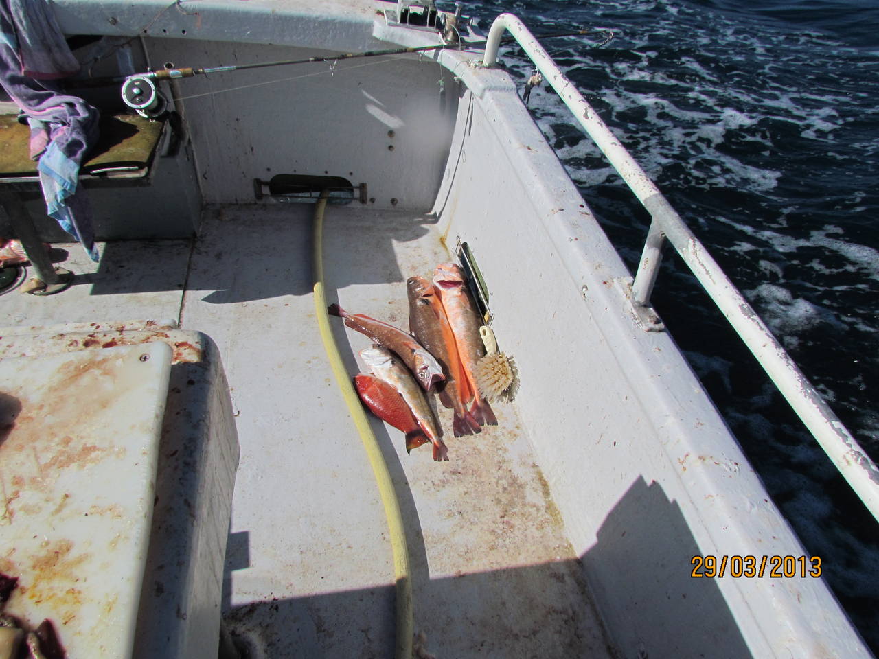 deck fish