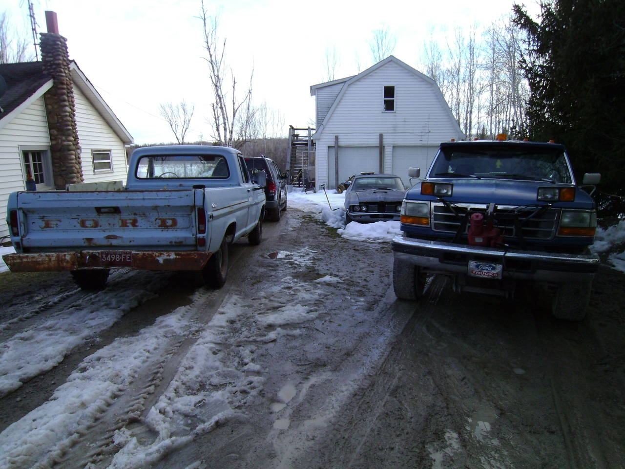 Driveway full of Fords