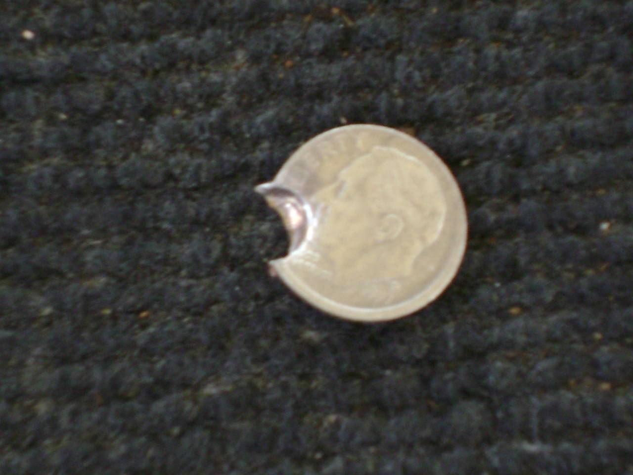 DSC00511