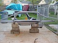 DSC01602-th